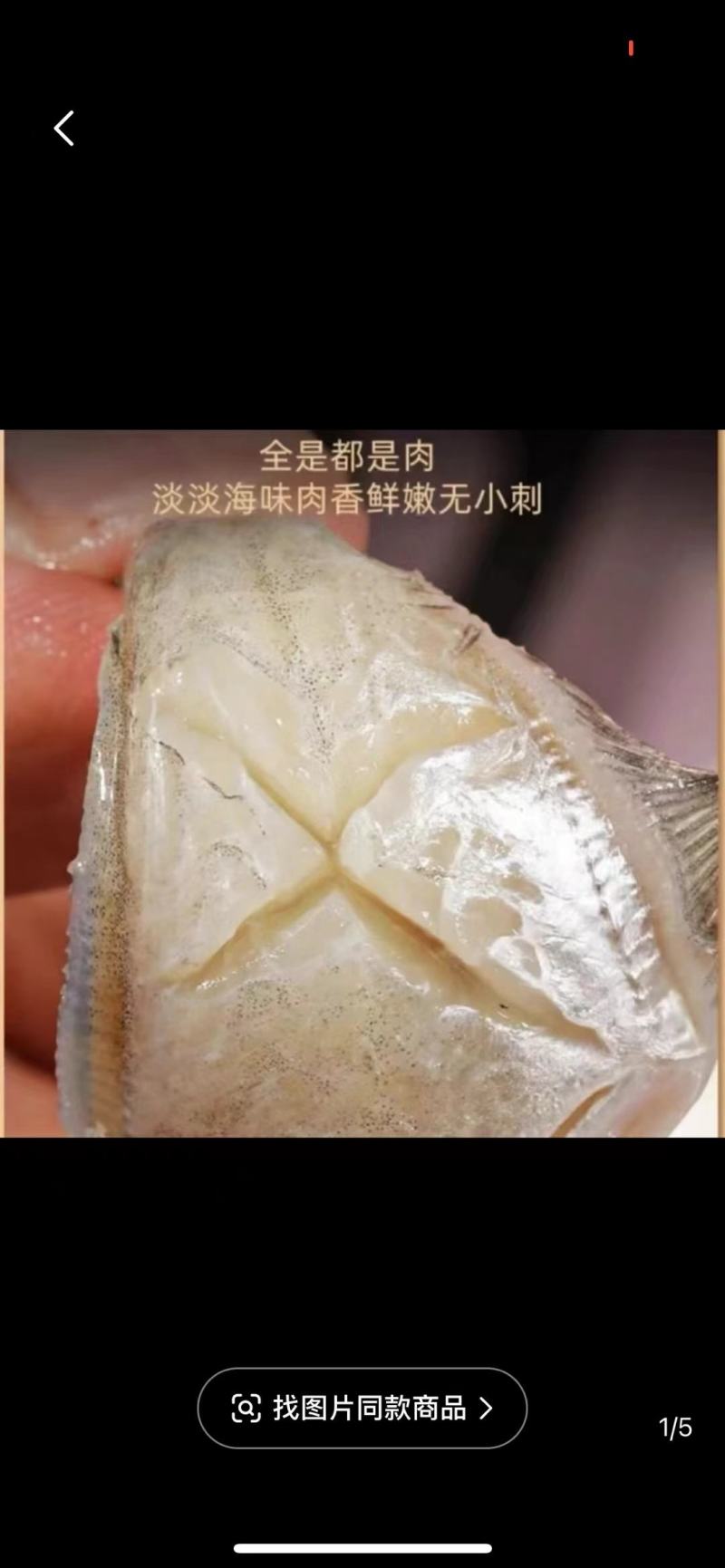 玻璃鱼马面鱼耗儿鱼