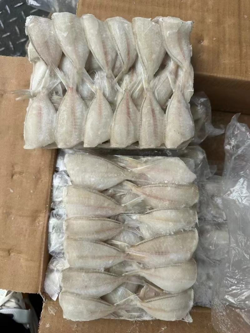 玻璃鱼马面鱼耗儿鱼