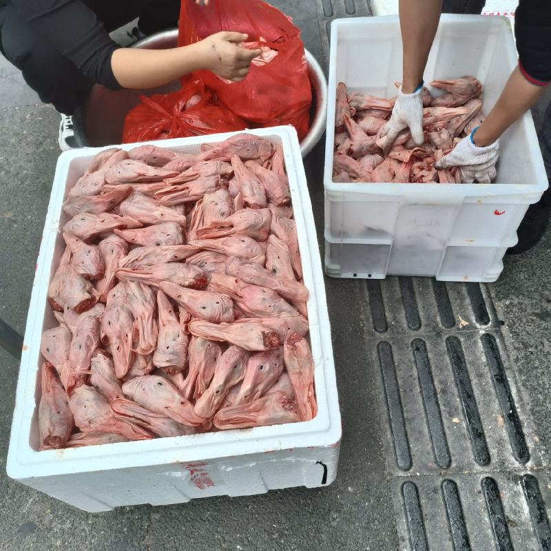 新鲜鸭头一手货源，新鲜发货品质正宗，以质论价诚信经营