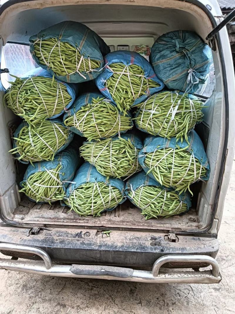 【扁豆】山东青扁芸豆承接批发餐饮全年有货网袋货品多样大扁刀豆