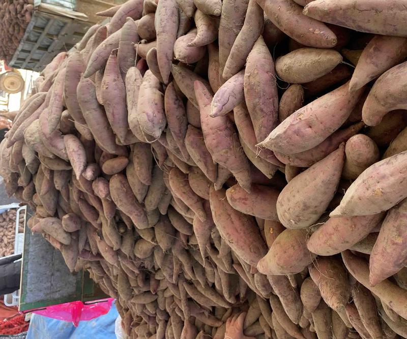 河南开封沙地西瓜红红薯大量现货，质量好，支持各大平台。