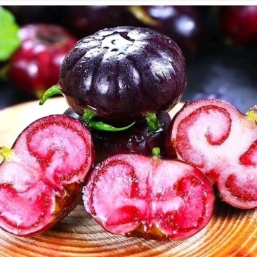 红果参优质货源产地原发