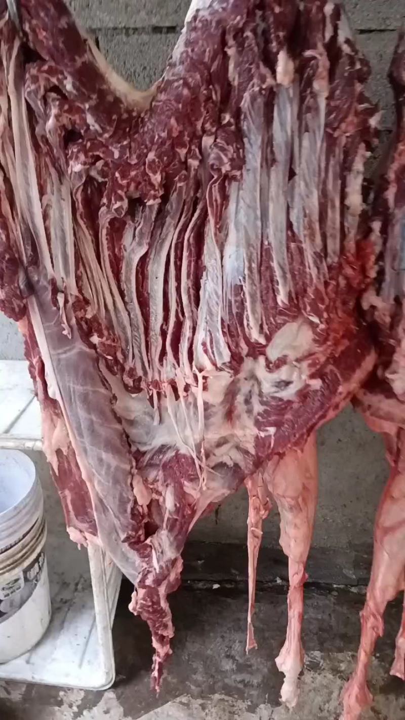 去皮驴肉