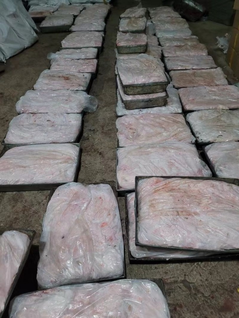 鲜羊肚油可单独定做有羊肚板油有羊肚卷油每天大量货