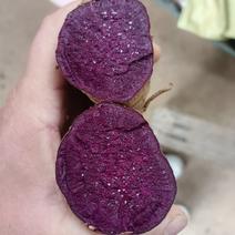 济黑2号紫薯