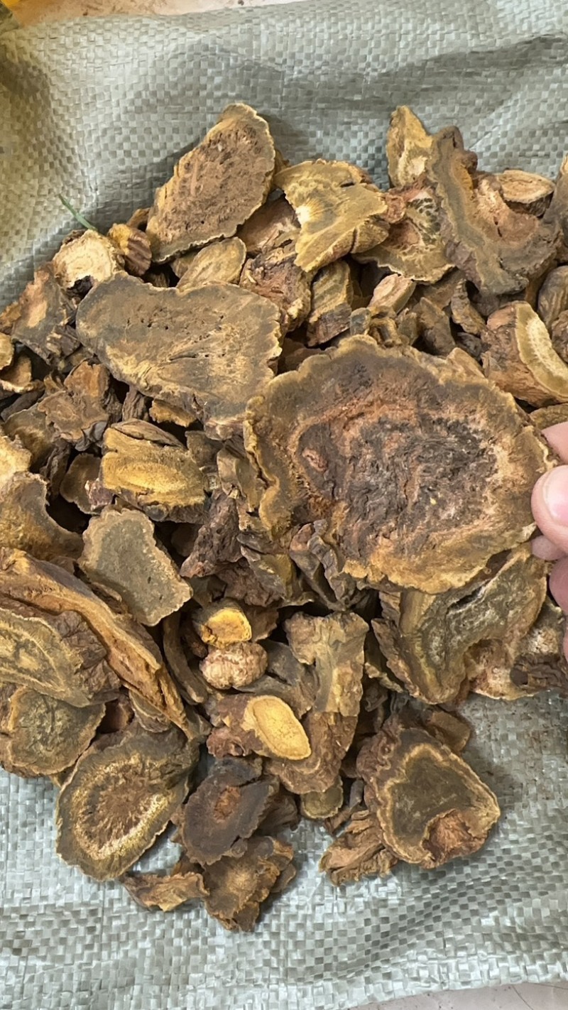 中药材大黄马蹄大黄无硫新货规格齐全，大量供应
