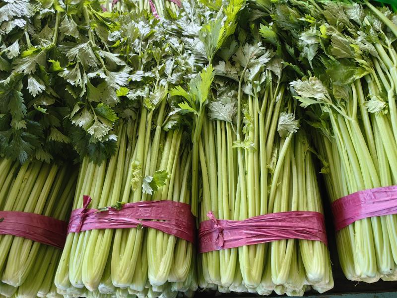 聊城市芹菜大量上市，一手货源，质量好价格低，支持各种包装