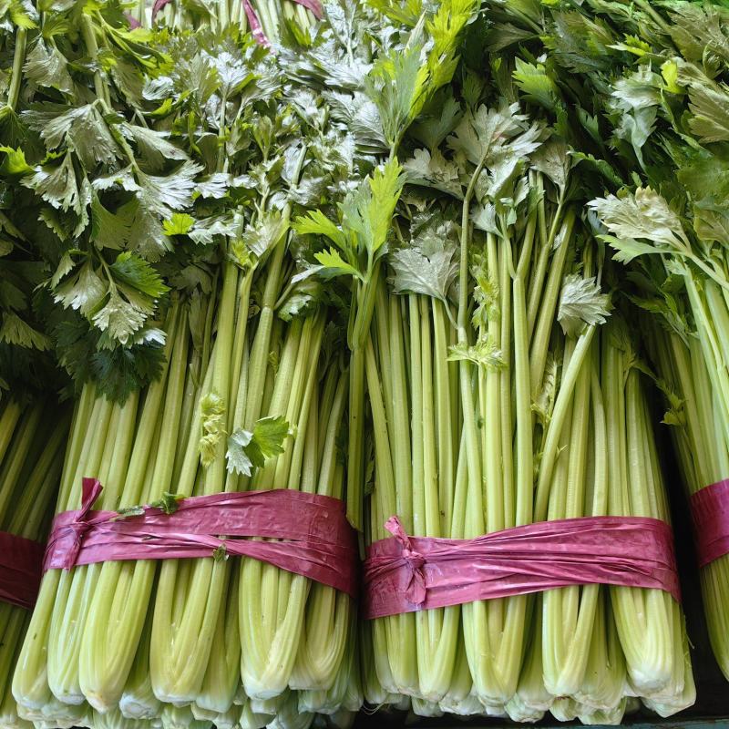 聊城市芹菜大量上市，一手货源，质量好价格低，支持各种包装