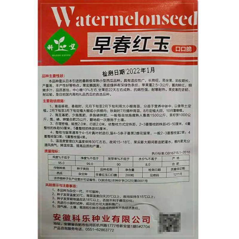 早春红玉西瓜种子早熟礼品小西瓜籽椭圆形薄皮高糖耐贮运大田