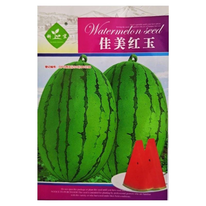 早春红玉西瓜种子早熟礼品小西瓜籽椭圆形薄皮高糖耐贮运大田