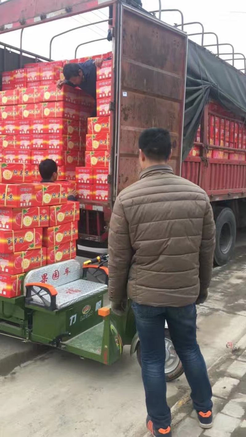 膜袋红富士苹果，膜袋红富士苹果，陕西红富士苹果价格。