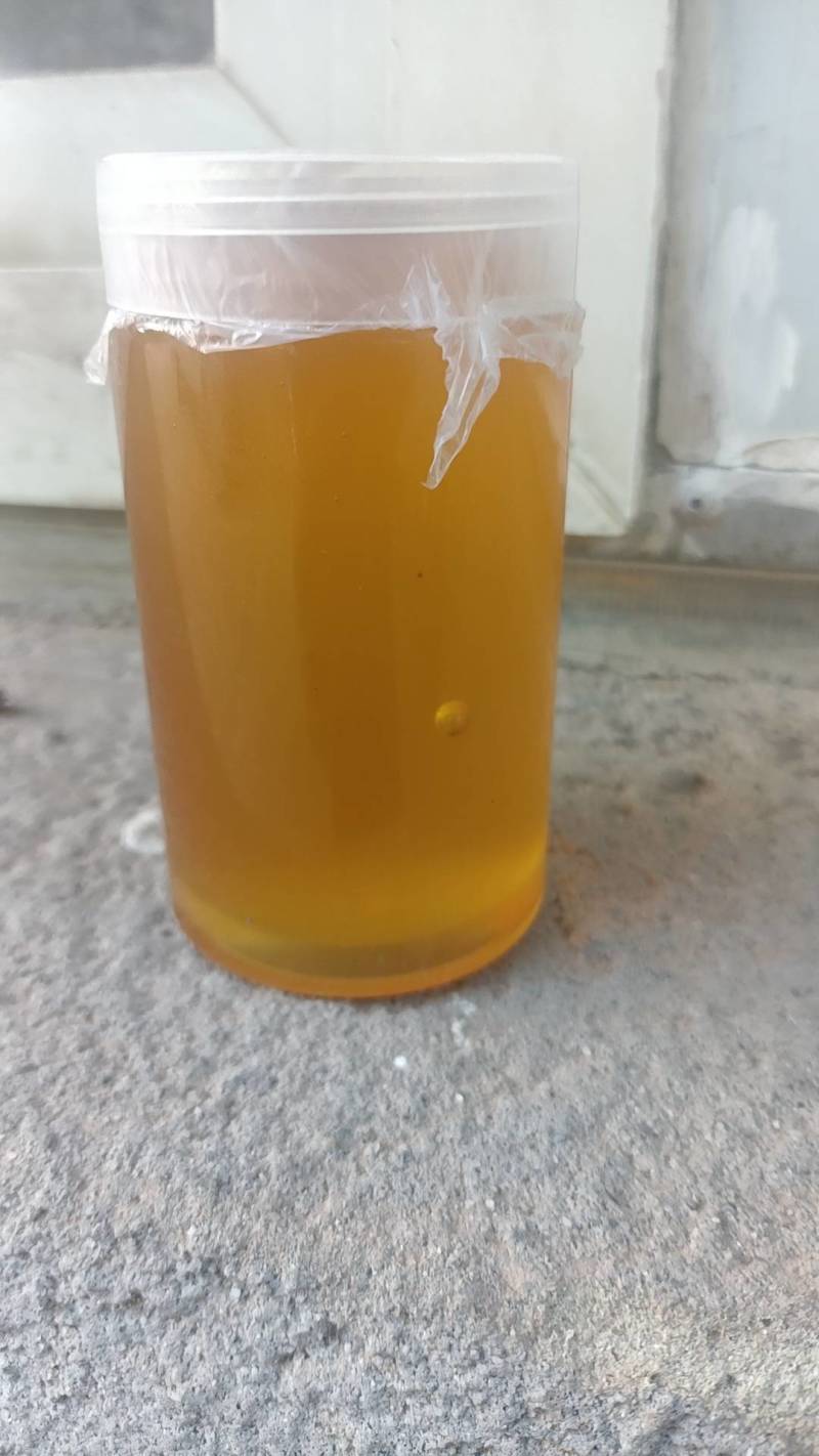 云南野生蜂蜜
