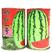 硒砂一号椭圆西瓜种子大红瓤抗性强早熟西瓜种籽耐运输大田用