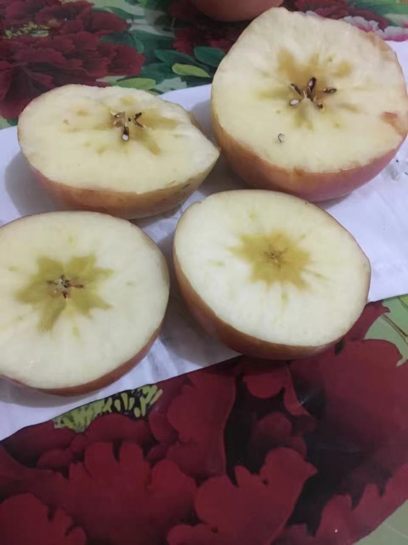 膜袋红富士苹果，水晶红富士，纸加膜红富士，瑞雪苹果瑞香红
