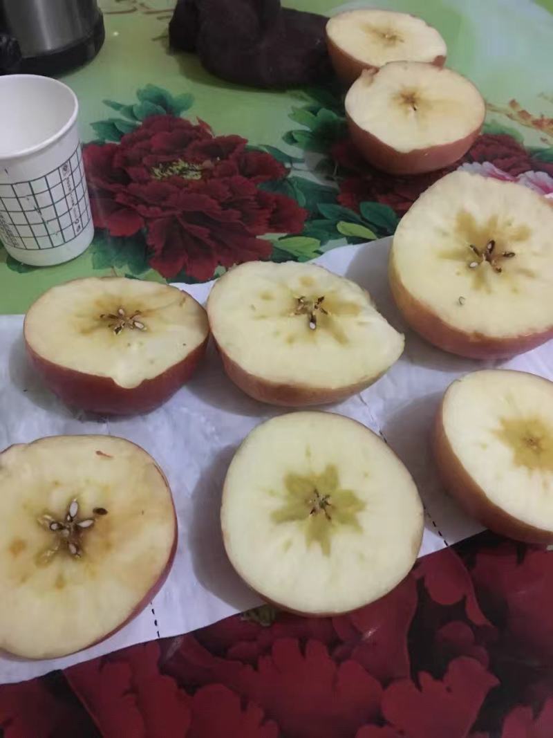 膜袋红富士苹果，水晶红富士，纸加膜红富士，瑞雪苹果瑞香红