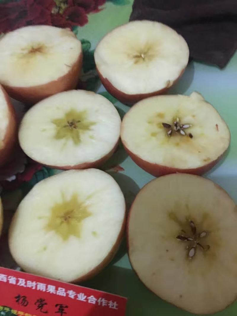 膜袋红富士苹果，水晶红富士，纸加膜红富士，瑞雪苹果瑞香红