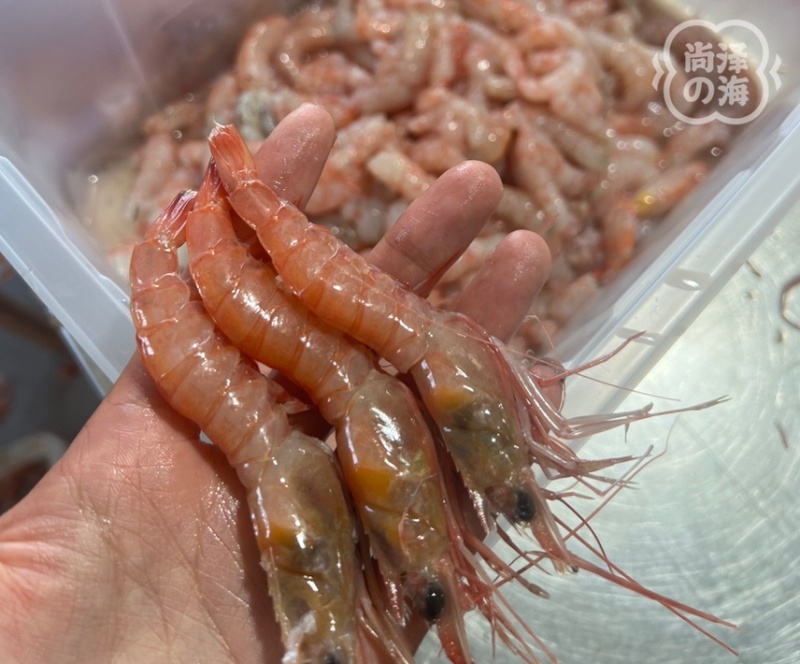竹节虾虾仁、红虾虾仁、无泡水无泡药无冰衣，原汁原味