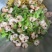 竹节虾虾仁、红虾虾仁、无泡水无泡药无冰衣，原汁原味