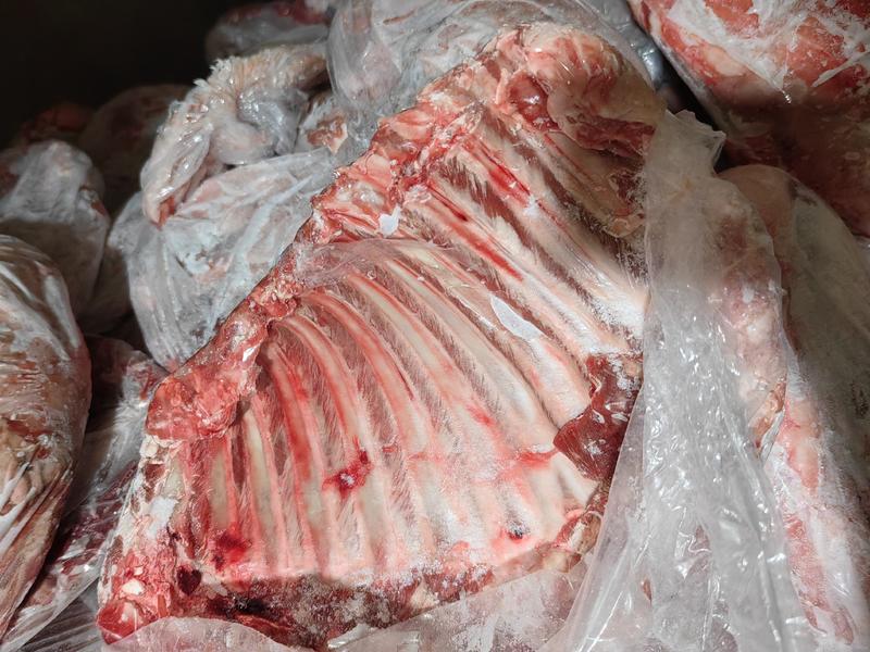 羔羊排烧烤自助11一斤常年大量现货直接样品