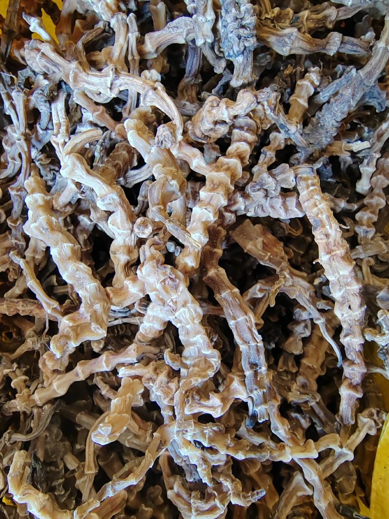 地参虫草参竹节参产地批发支持代发量大优惠保质保量