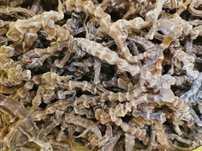地参虫草参竹节参产地批发支持代发量大优惠保质保量
