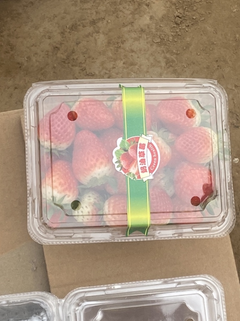 奶油草莓