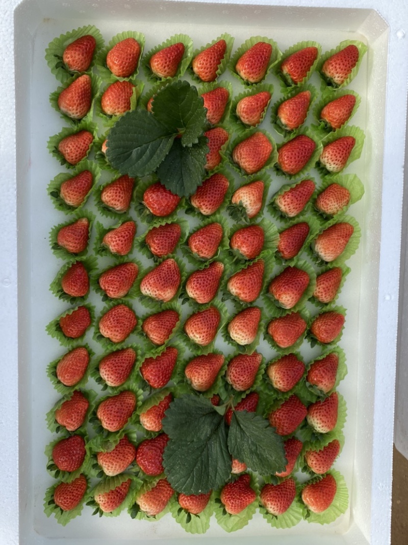 奶油草莓