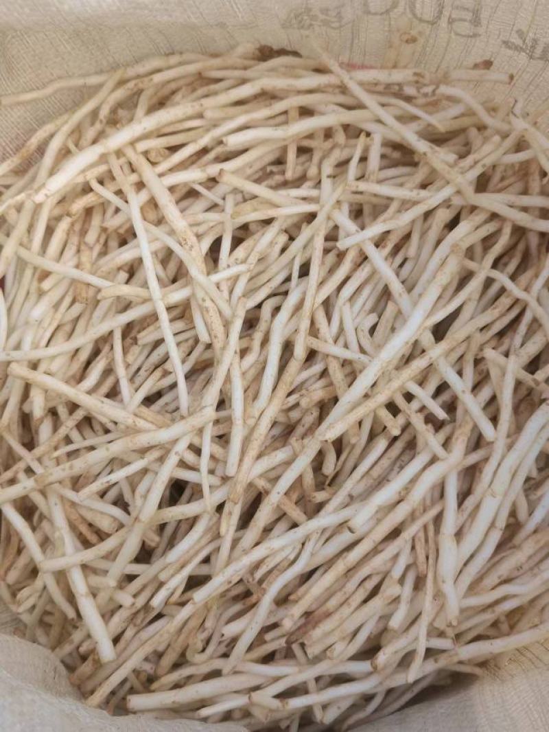 银条菜大量出售