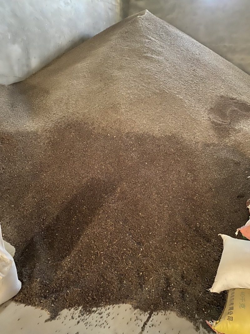 野生酸胖沙樱桃白刺果大量现货