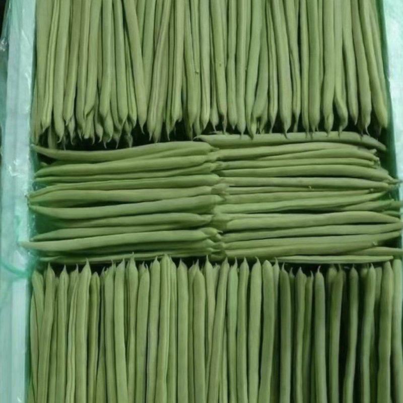 云南德宏，无筋豆大量供应，现采现装欢迎来电选购