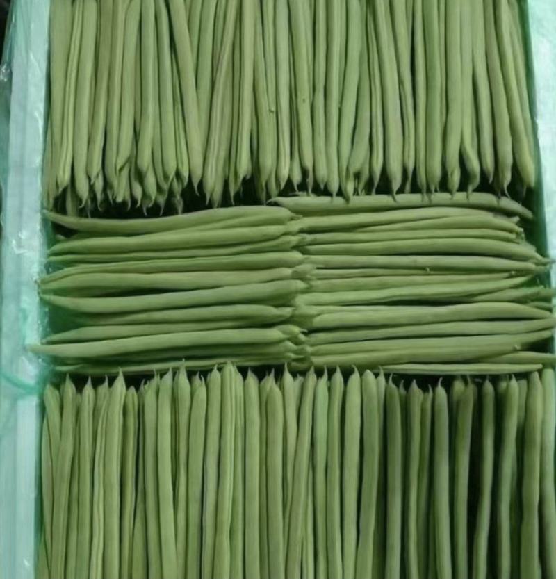 云南德宏，无筋豆大量供应，现采现装欢迎来电选购