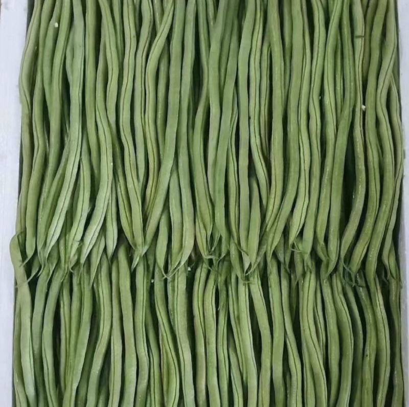云南德宏，无筋豆大量供应，现采现装欢迎来电选购