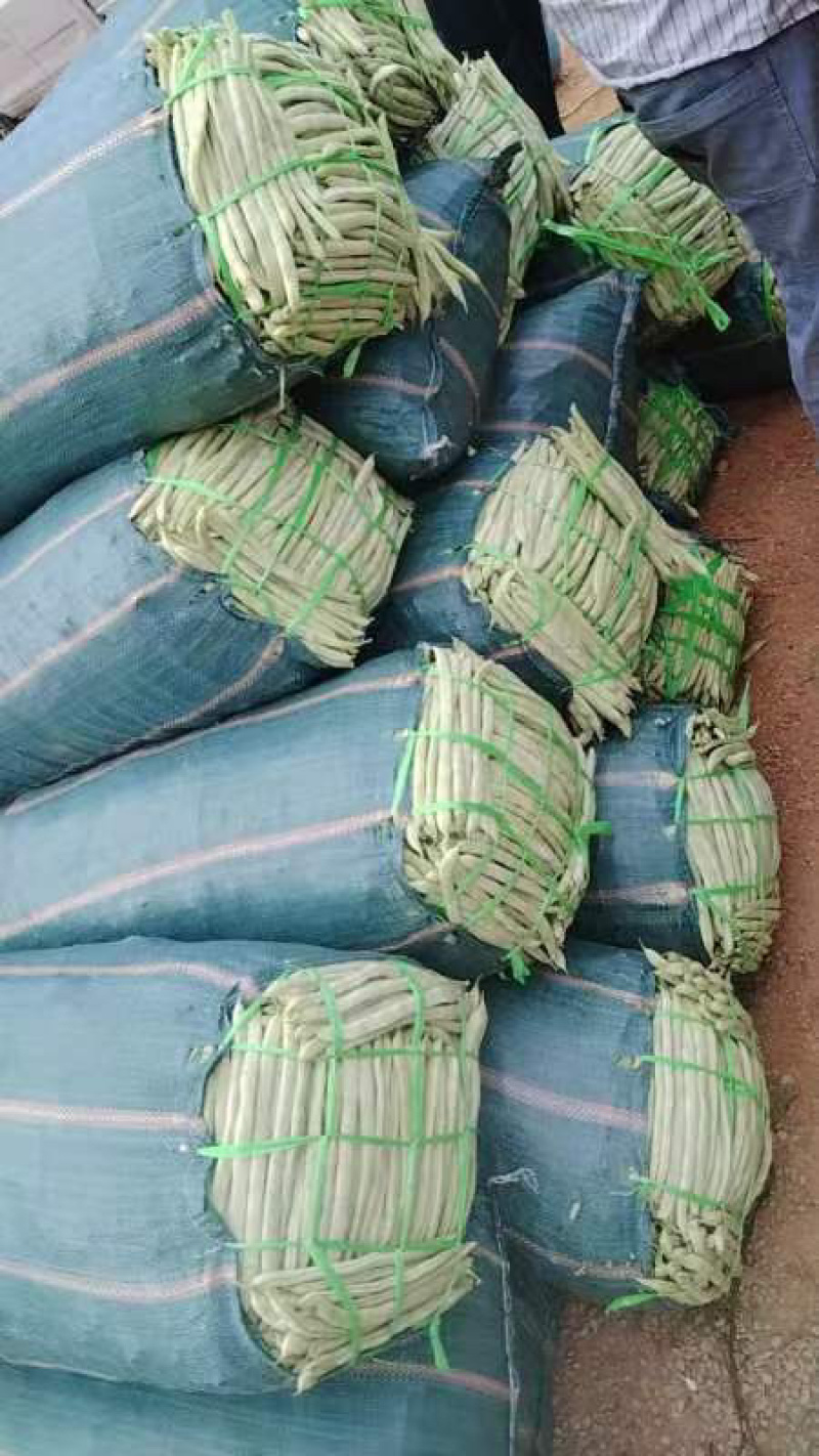 白芸豆诚信代办安你需求收货，分捡打包一年四季豆有货