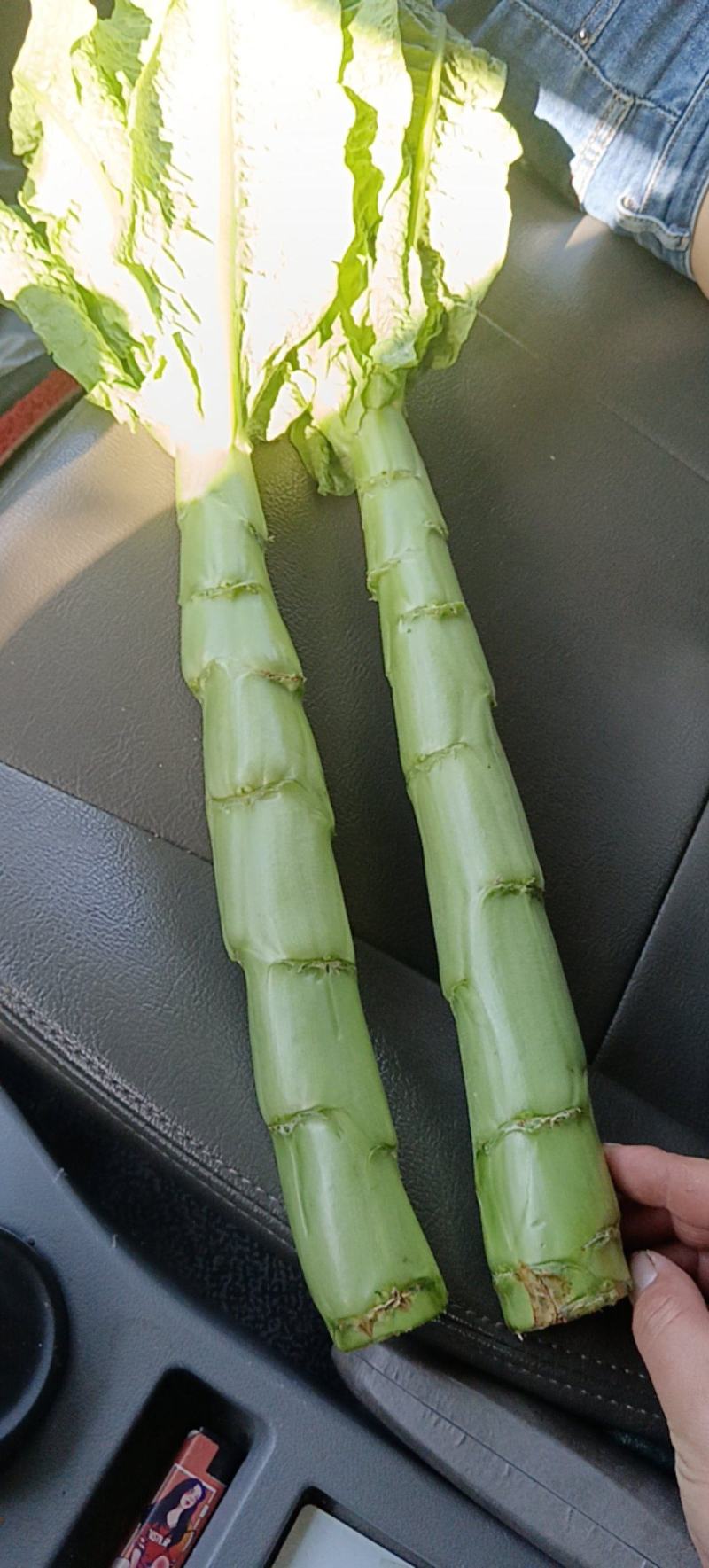 精品三青