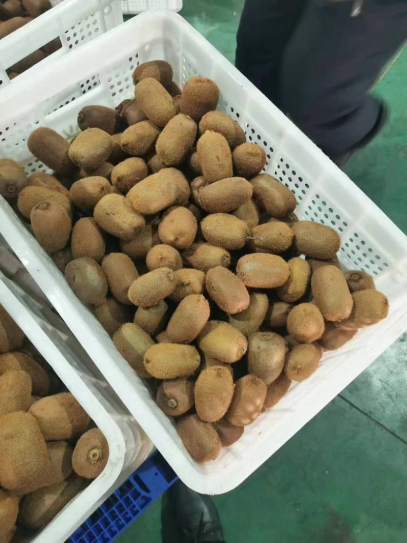 绿心猕猴桃产地直发代发一手货源保质诚信经营