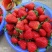 天仙醉草莓上市