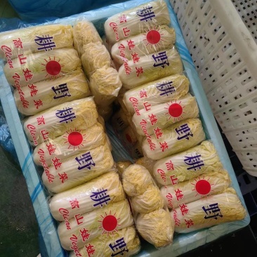 常年供应精品娃娃菜大小菜均有。优质毛菜大量现货