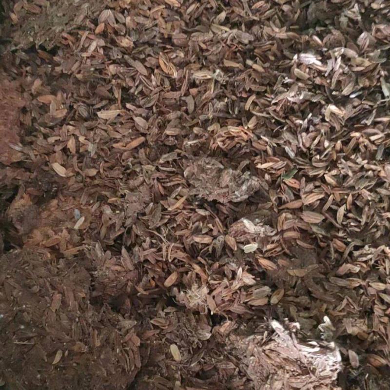 基地直销，稻壳鸭粪，散装