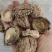 随州香菇精选光面菇3~4cm产地直销品质稳定可出口
