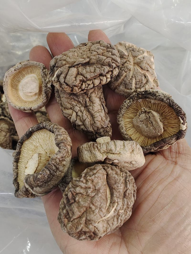 随州香菇精选光面菇3~4cm产地直销品质稳定可出口