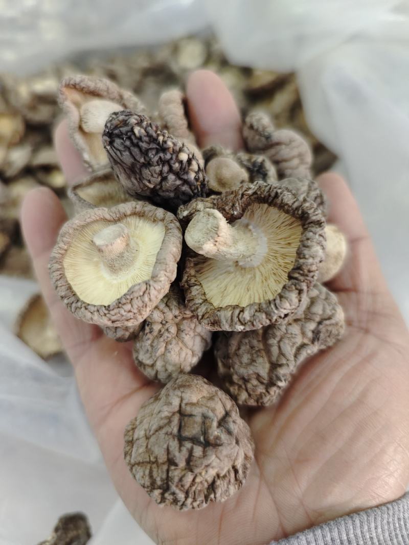 随州香菇精选光面菇3~4cm产地直销品质稳定可出口