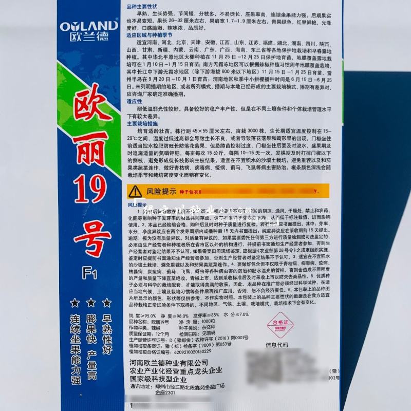 欧丽19号长线椒种子薄皮软壳线椒种籽软皮线椒种子辣味浓