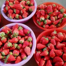 甜宝草莓上市了