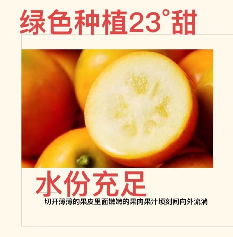 融安脆密金柑一手货源对接所有渠道全国发货包邮包售后