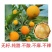 融安脆密金柑一手货源对接所有渠道全国发货包邮包售后