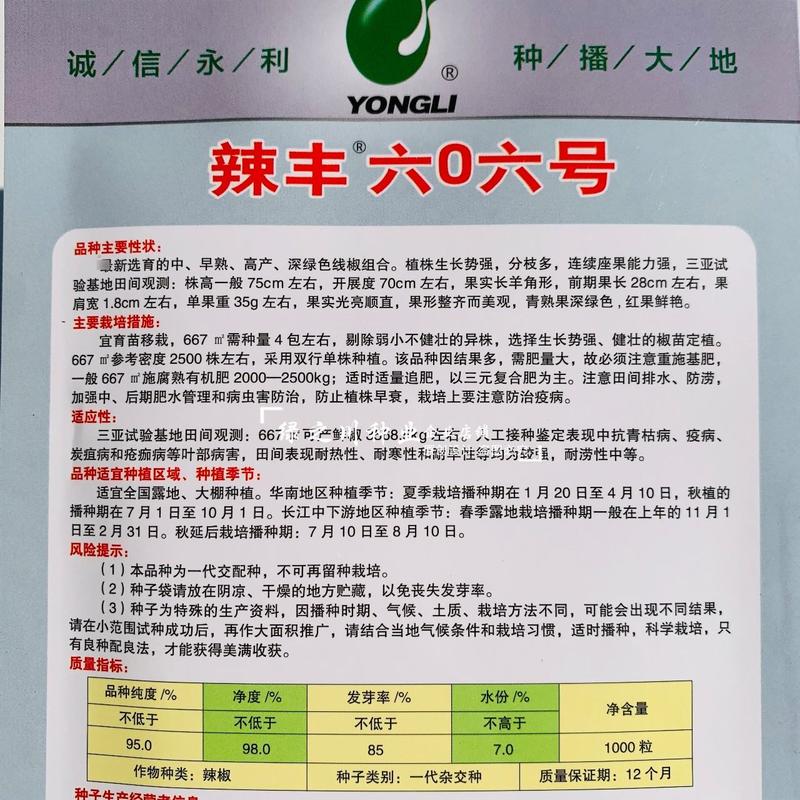 永利辣丰606号线椒种子三号椒深绿色线椒种籽顺直光亮高产