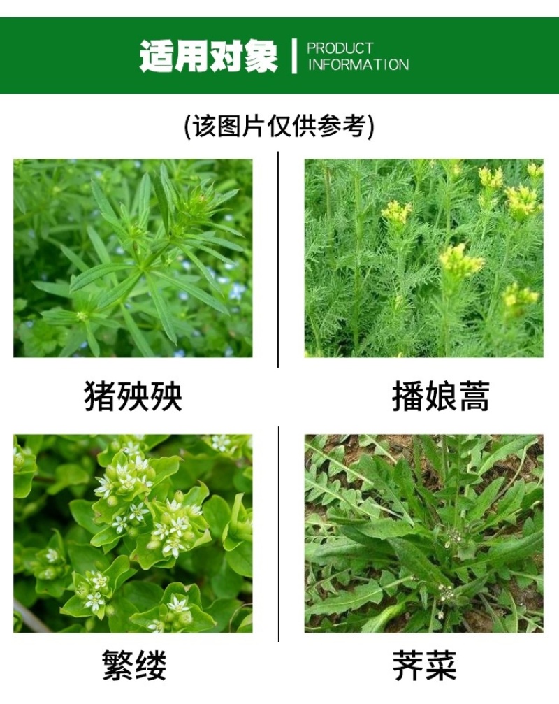 侨昌双氟唑草酮小麦田苗后除草剂猪秧秧麦篙荠婆婆纳阔叶杂草