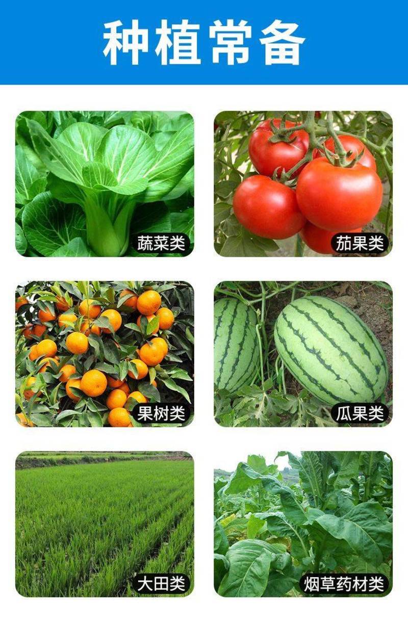 十二元素中量元素水溶肥蔬菜瓜果通用型厂家直发