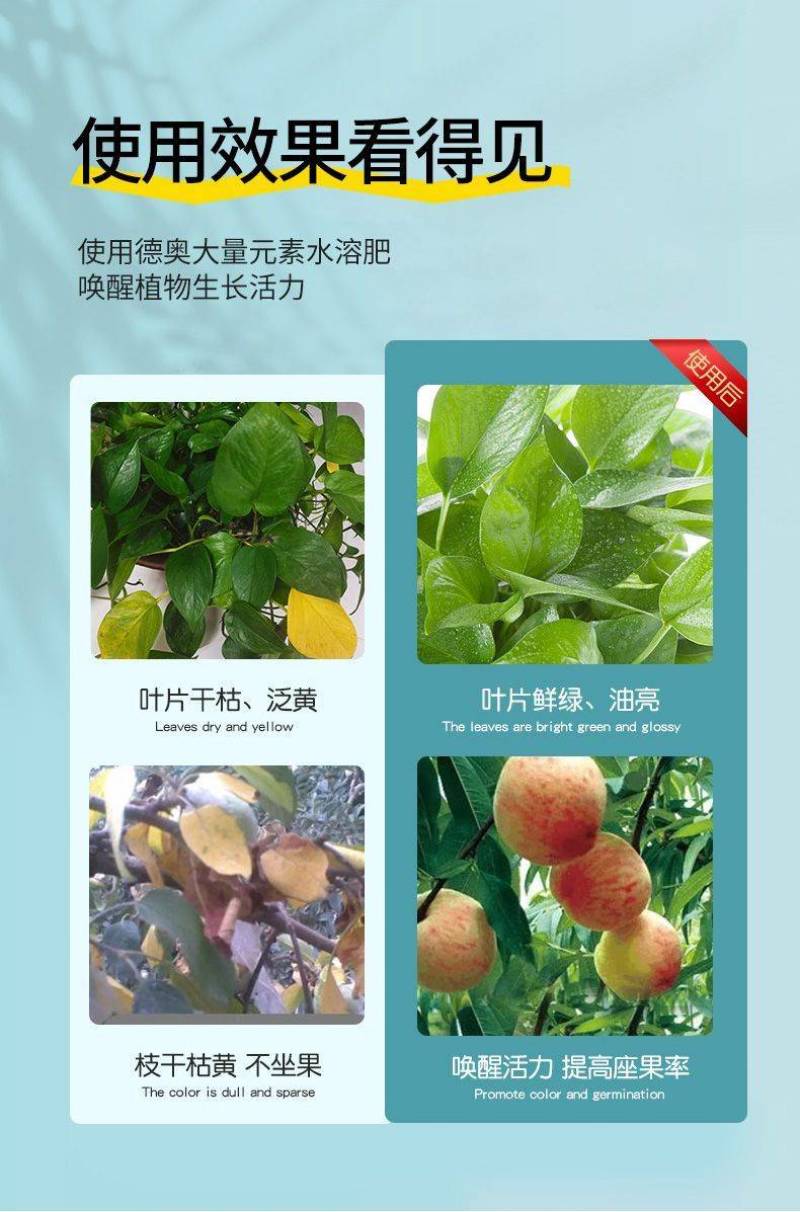 水溶肥平衡型蔬菜瓜果树大棚专用冲施肥澎果厂家直销大量