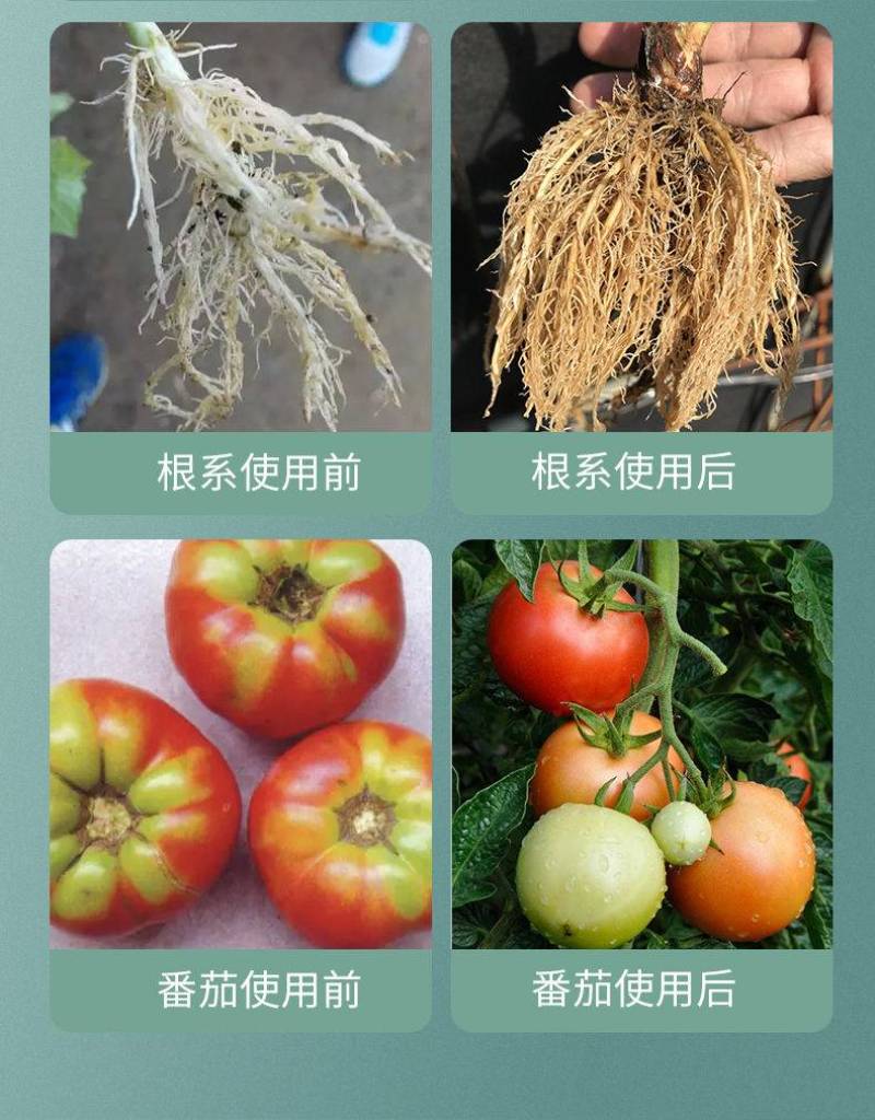 水溶肥平衡型蔬菜瓜果树大棚专用冲施肥澎果厂家直销大量